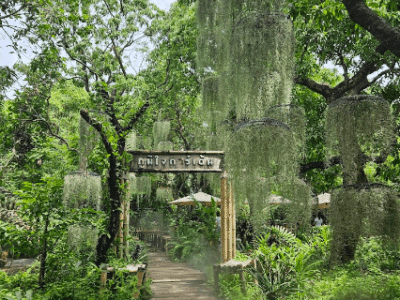 Natura Café