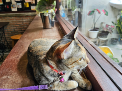 บ้านหลังวัด Baan Lang Wat (Cafe & Roastery)