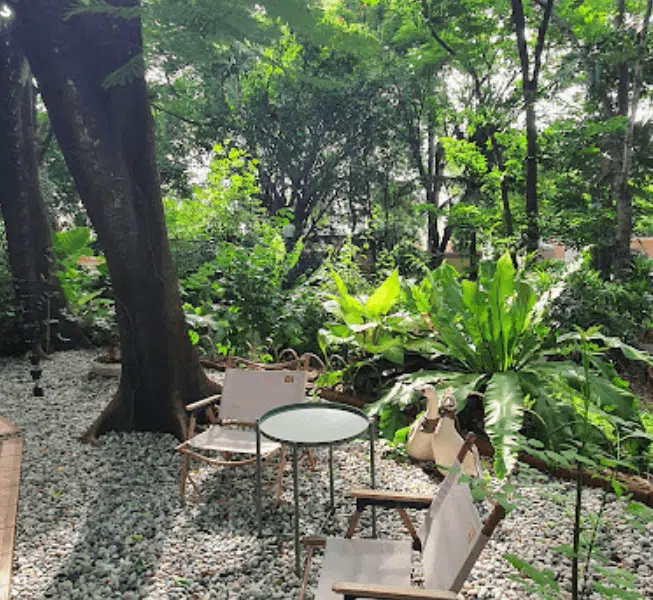 Tokizen farm & cafe