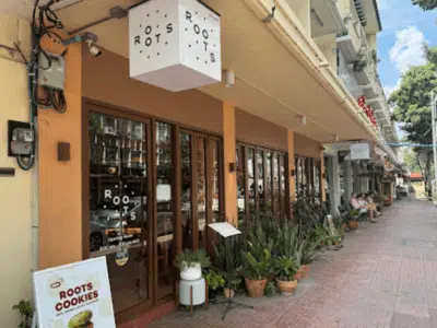 Roots at Pratu Phee