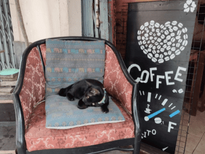 LOVE COFFEE DREAM