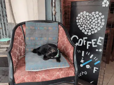 LOVE COFFEE DREAM