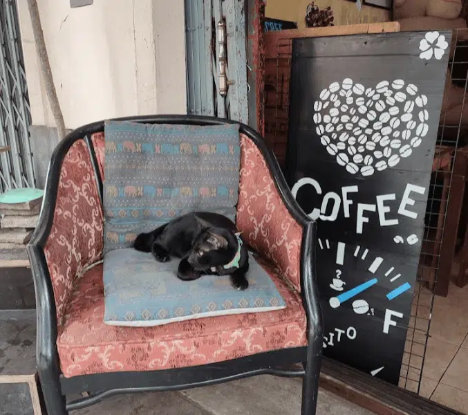 LOVE COFFEE DREAM