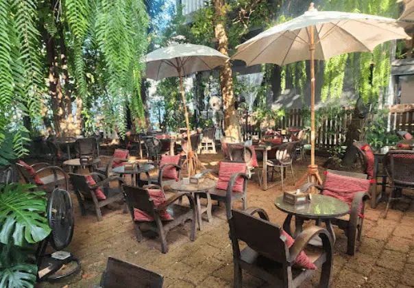 Top 10 Cafes in Chiang Mai for Coffee Lovers 8 Fern Forest Cafe