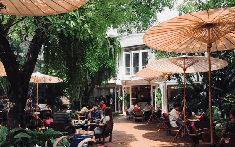 Fern Forest Cafe