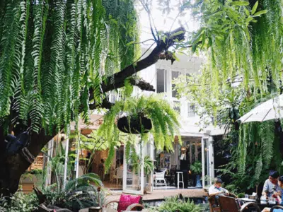 Fern Forest Cafe