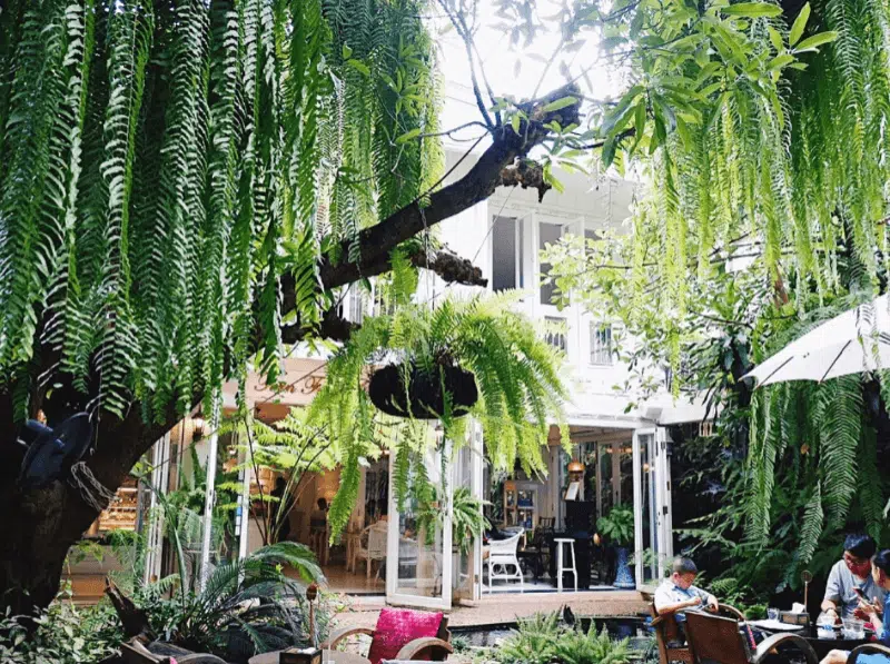 Fern Forest Cafe