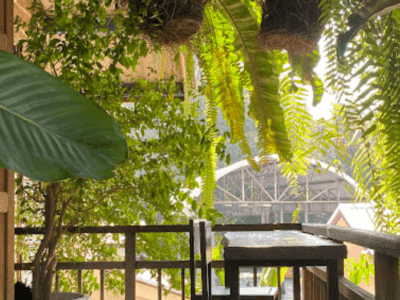 The Old Chiang Mai Cafe' Espresso Bar