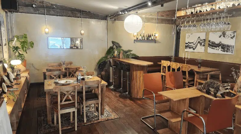 Fringe Café Chiang Mai: A Coffee Lover’s Paradise