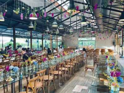 THE SUMMER - never ending