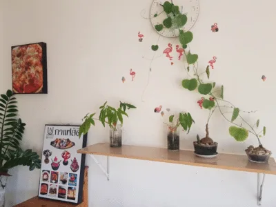 CHA-AU&COFFEE สาขา1อ.เหล่าเสือโกโก้ก