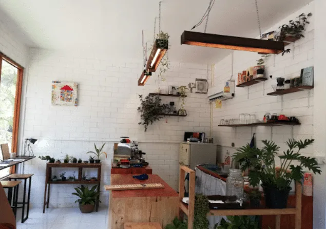 The Branch Cafe