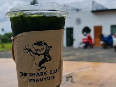 The Shark Cafe