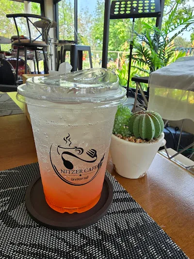 Nitzer Cafe and Arapaima Fish Park