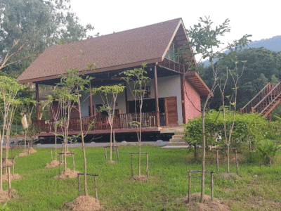 Cartoon Cafe Khao Yai