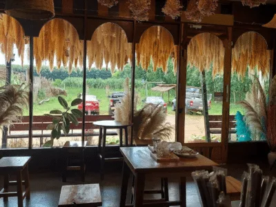 สวนทุเรียน​ลุงศักดิ์​ในเสิงสาง