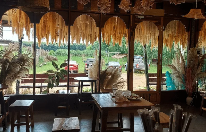 สวนทุเรียน​ลุงศักดิ์​ในเสิงสาง