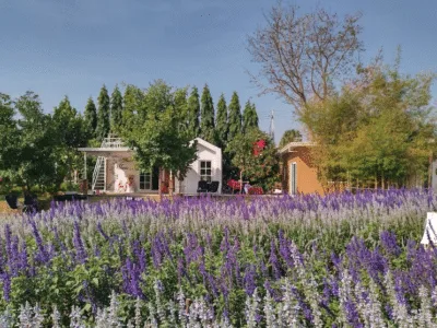 Hana Cafe' - ฮานะคาเฟ่