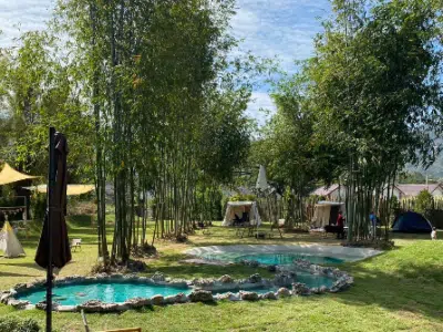 Pana Backyard
