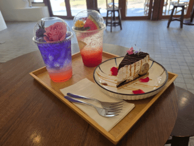 Rabbit Cafe