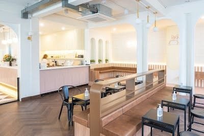 Corgin in the garden, dog cafe in Bangkok