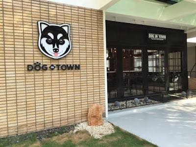 Dog in Town Ekkamai, dog cafe in Bangkok