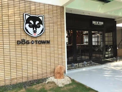 Dog in Town Ekkamai, dog cafe in Bangkok