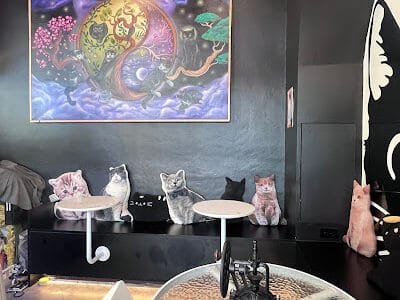 Black Cat Cafe