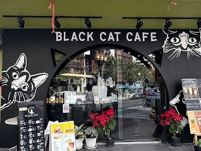 Black Cat Cafe