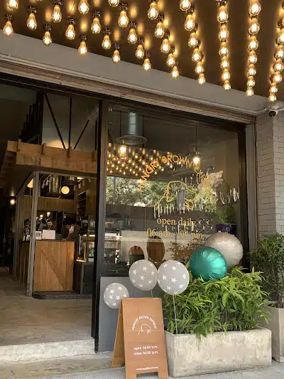 Hungry Brown Express