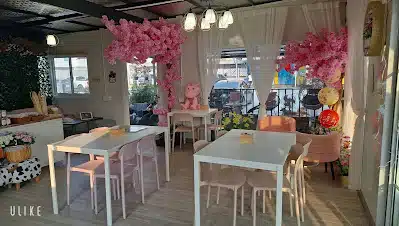 Captain cafe