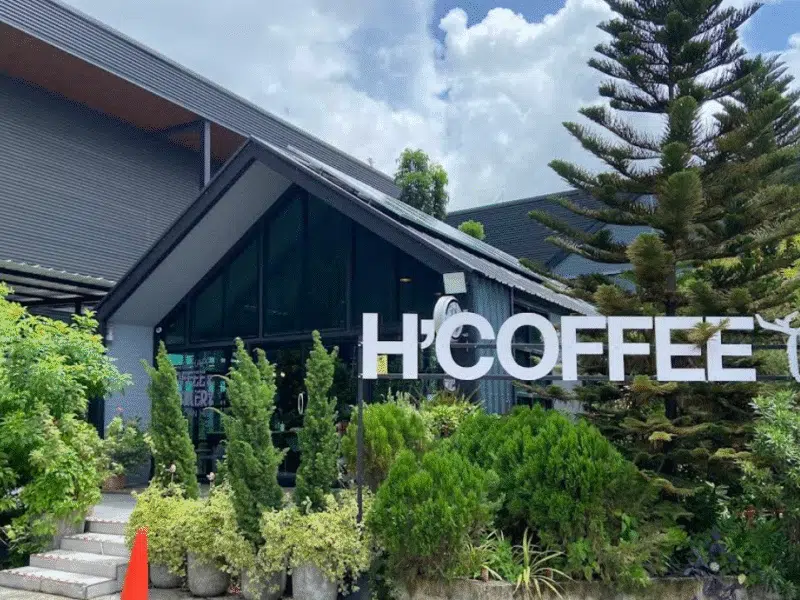 H cafe