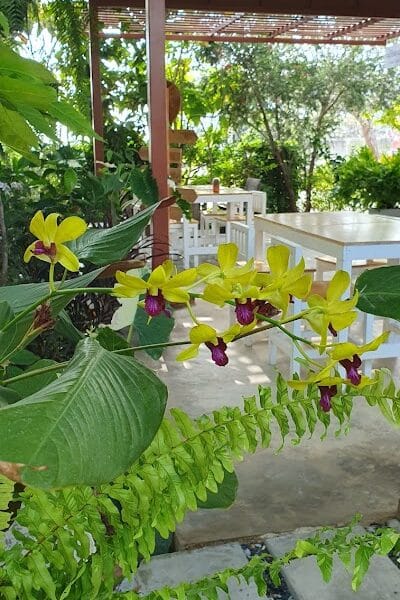 Khunyay Cafe' & Bistro