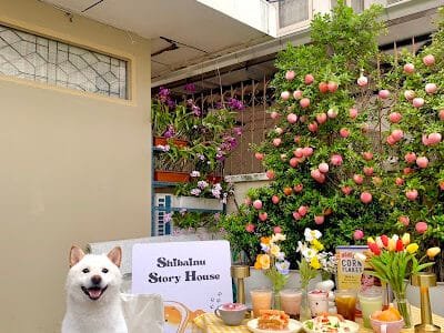 Shibainu Story (Farm & Cafe)
