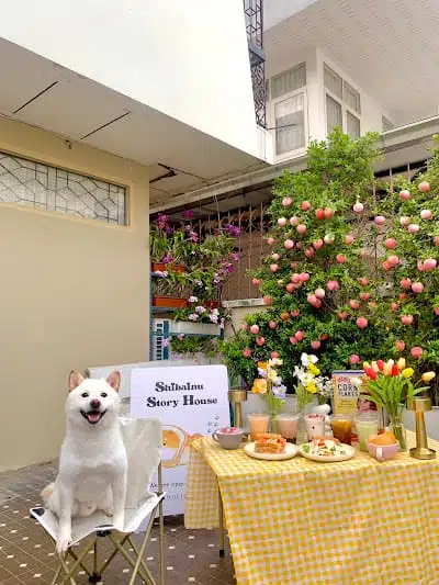 Shibainu Story (Farm & Cafe)