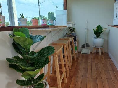VERA CAFE