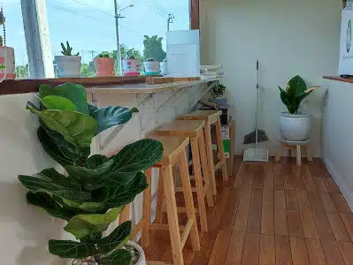 VERA CAFE