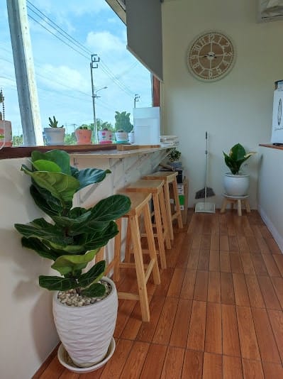 VERA CAFE