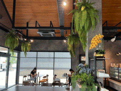 Café Amazon