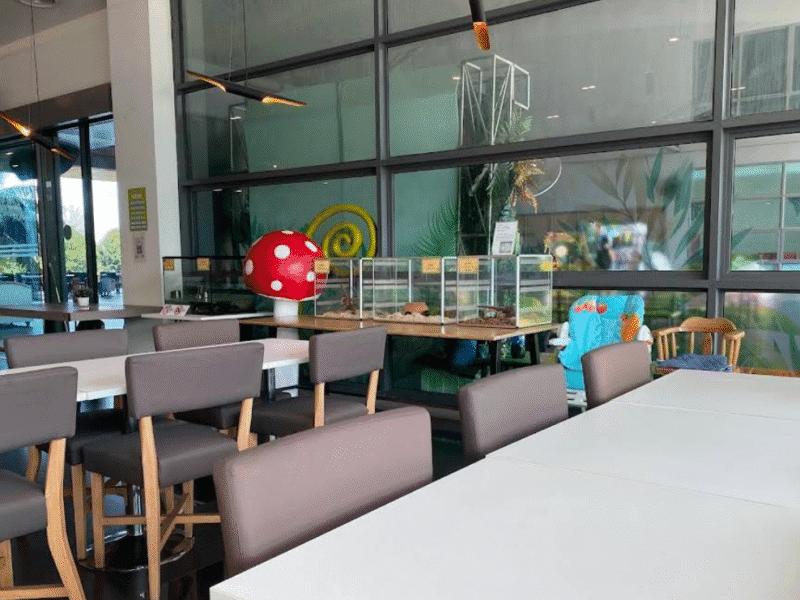 Snake Café