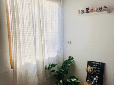 snapboxs cafe & blindbox