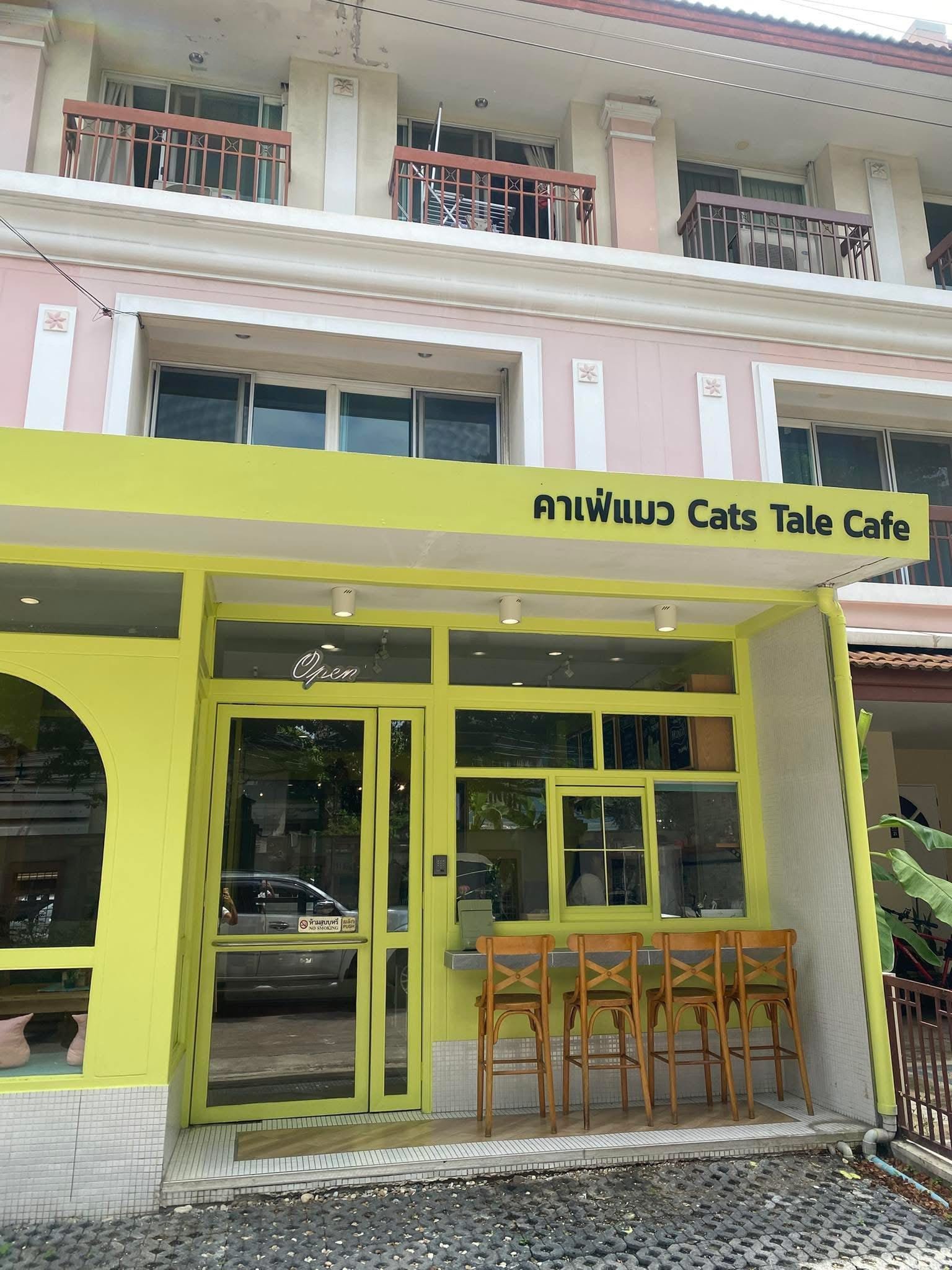 Best Cat Cafes in Bangkok 9 Cats Tales Cat Cafe Bangkok คาเฟ่แมว