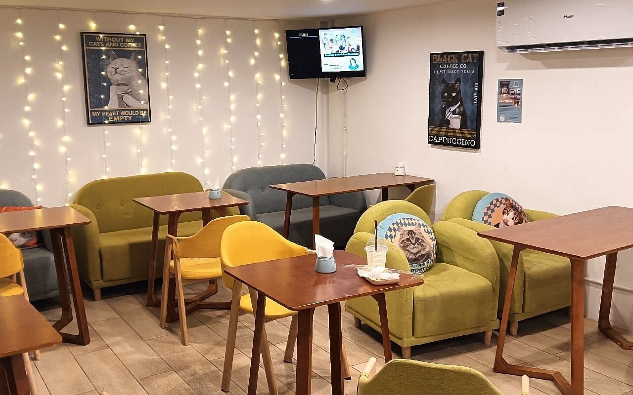 Asok Pethouse Cat Cafe (Sukhumvit 19)
