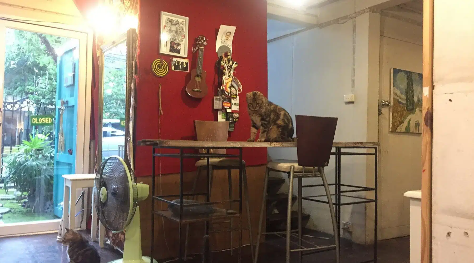 CatNip Cafe (Sathon)