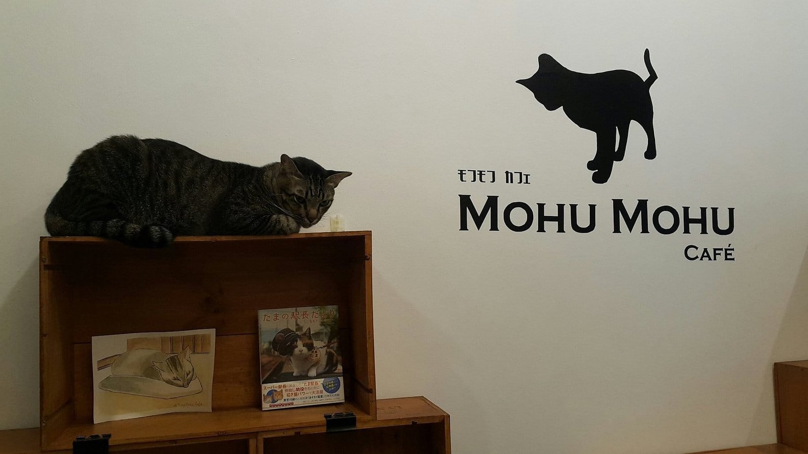 Mohu Mohu Cat Cafe (Si Phraya)
