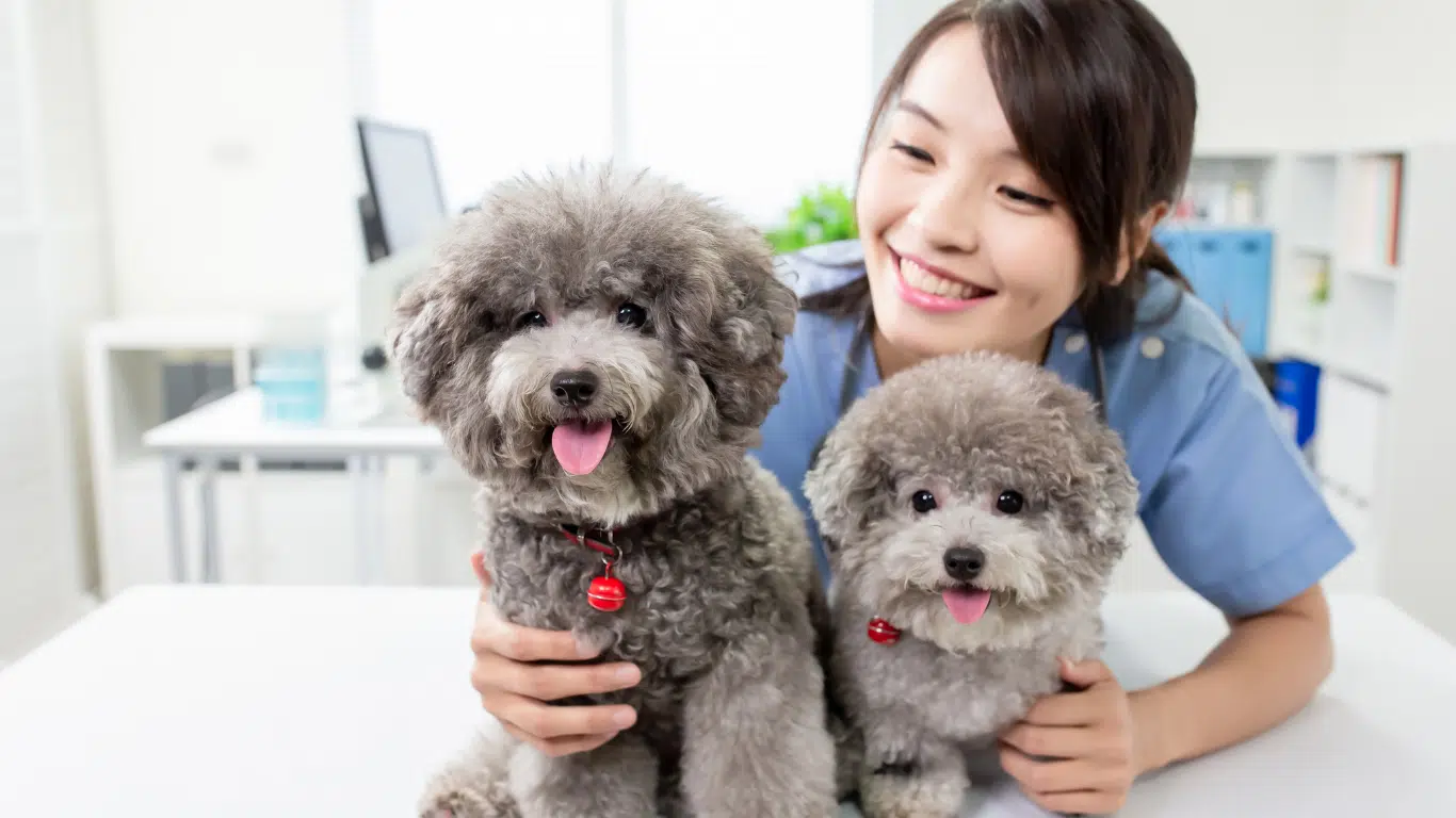 Cats Tales Cat Cafe (Bang Na, Cascade)