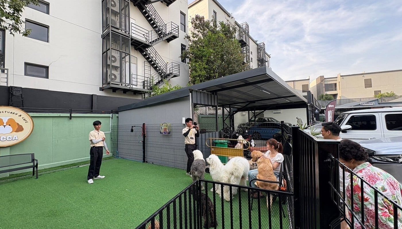 Zucca – The Pet Sanctuary & Cafe (Phatthanakan 32)