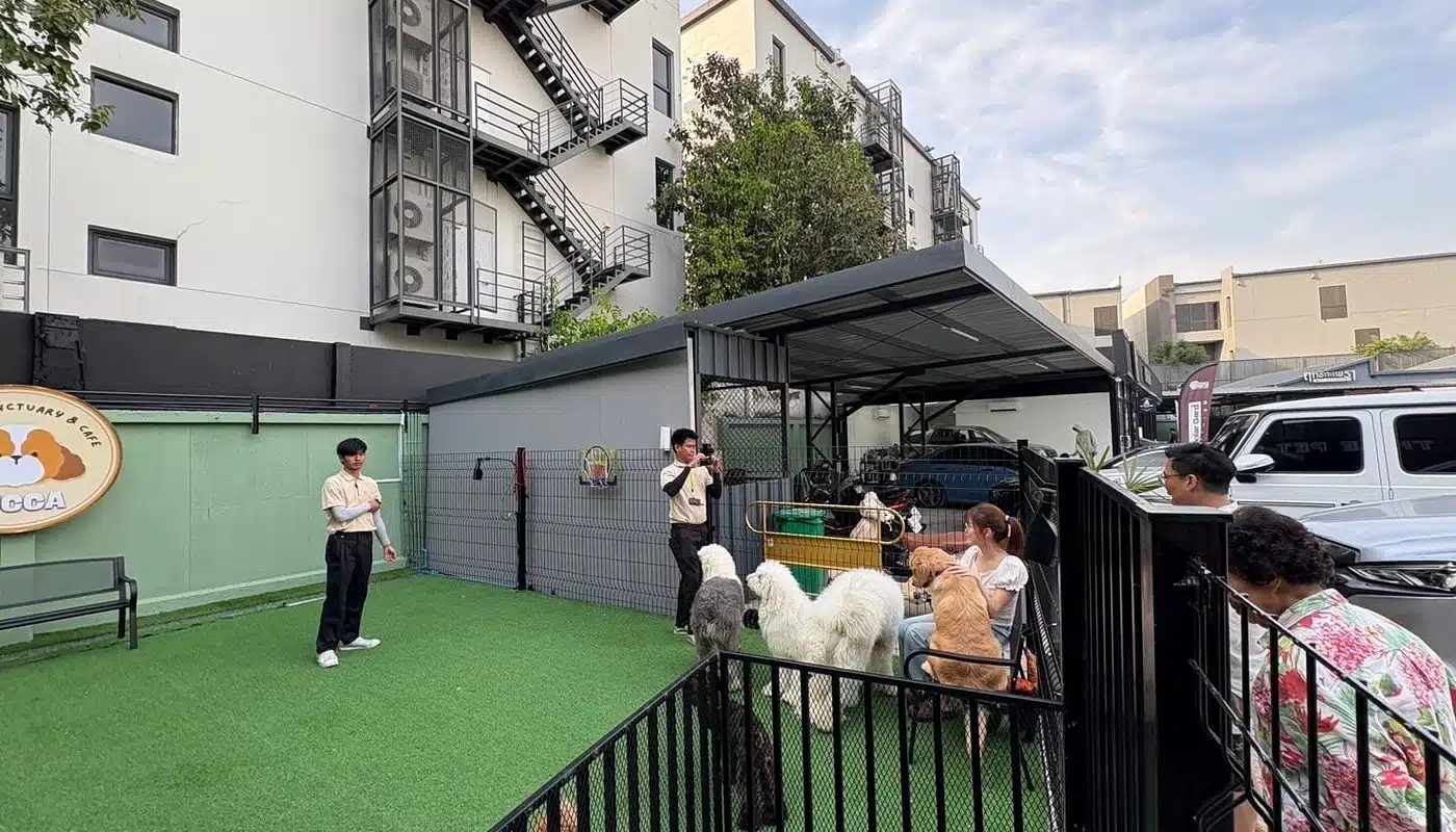 Zucca – The Pet Sanctuary & Cafe (Phatthanakan 32)